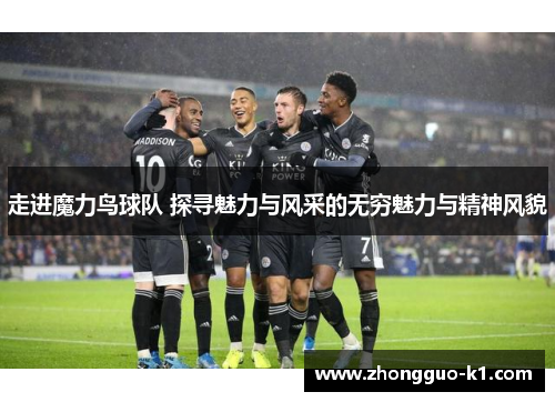 走进魔力鸟球队 探寻魅力与风采的无穷魅力与精神风貌