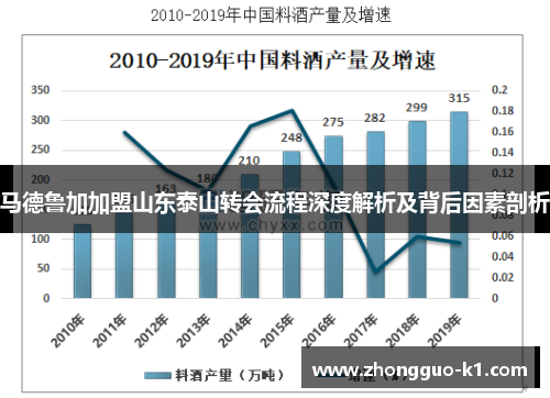 马德鲁加加盟山东泰山转会流程深度解析及背后因素剖析 马德鲁加加盟山东泰山转会流程深度解析及背后因素剖析